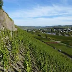 Weingut Harald Ludwig شقة *