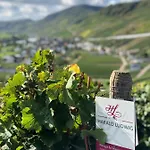 Weingut Harald Ludwig شقة *