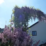 شقة Weingut Harald Ludwig