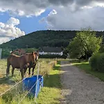 Weingut Harald Ludwig Apartment Osann-Monzel