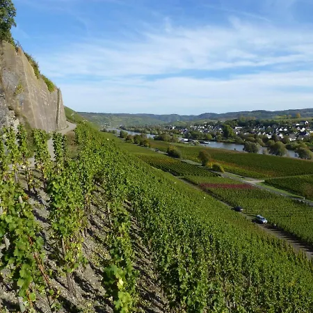 Weingut Harald Ludwig Apartment *