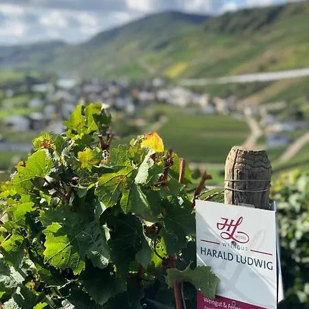 Weingut Harald Ludwig Apartment *