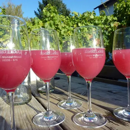 Weingut Harald Ludwig Apartment Osann-Monzel
