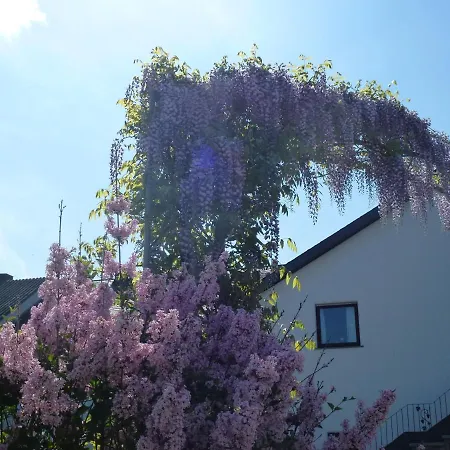 Daire Weingut Harald Ludwig