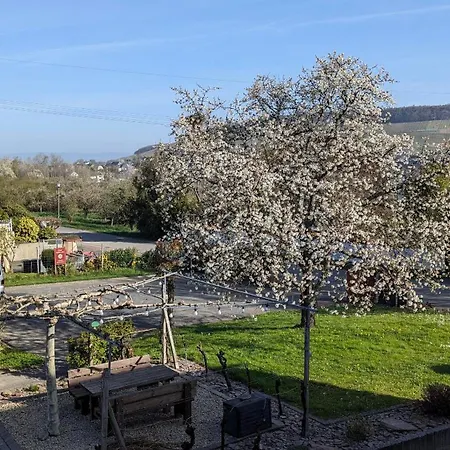 Weingut Harald Ludwig Apartment *