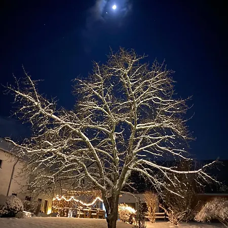 Weingut Harald Ludwig Daire *