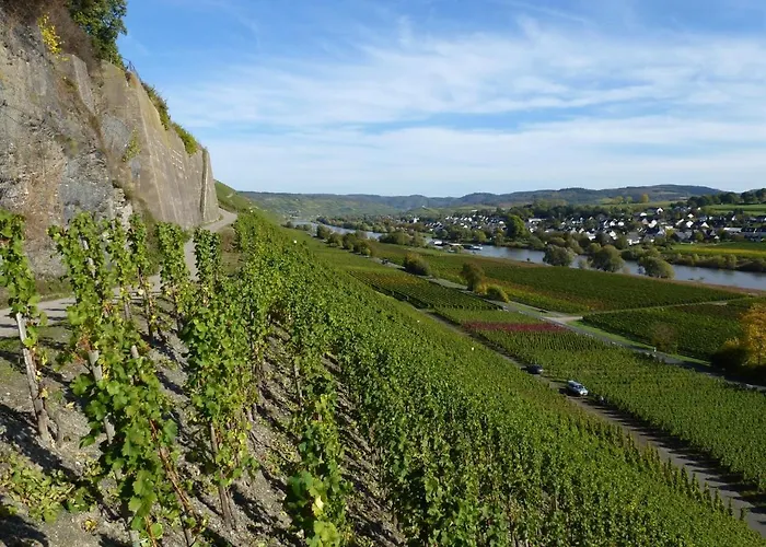 Weingut Harald Ludwig Appartement *