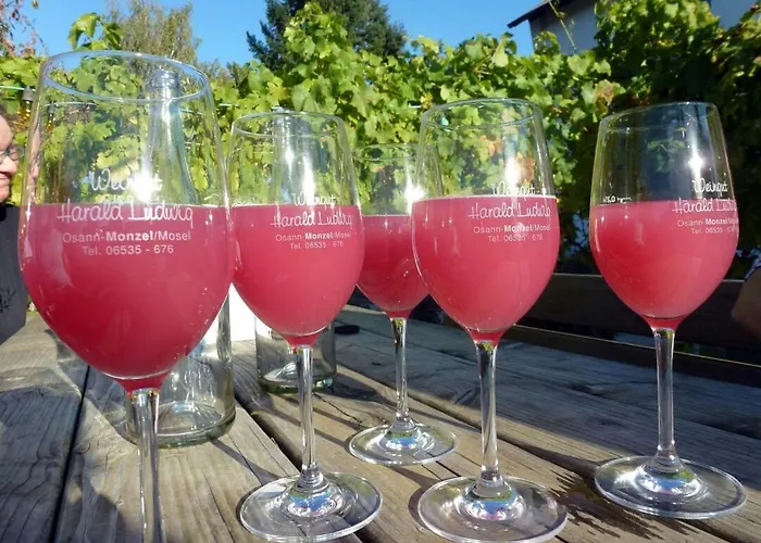 Weingut Harald Ludwig Appartement Osann-Monzel