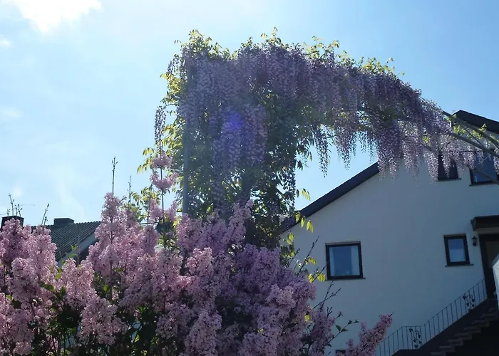 Appartement Weingut Harald Ludwig