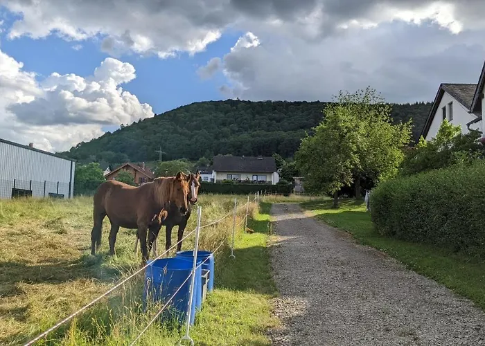 Weingut Harald Ludwig Appartement Osann-Monzel