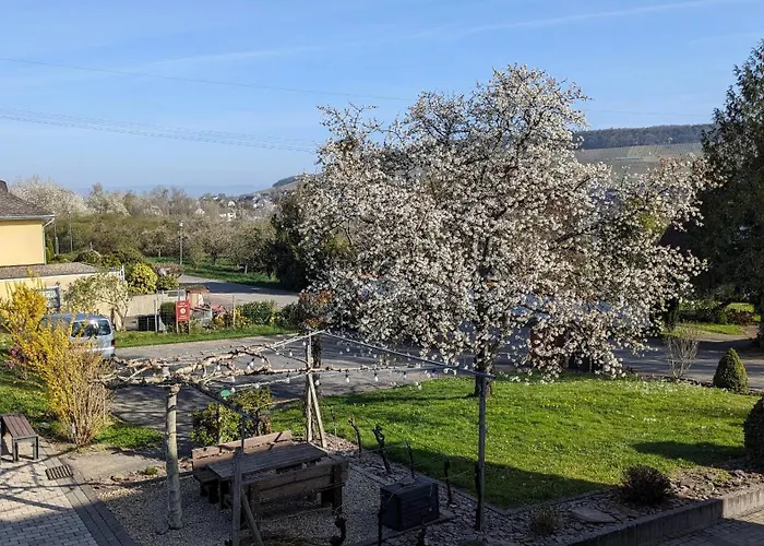Weingut Harald Ludwig Appartement *