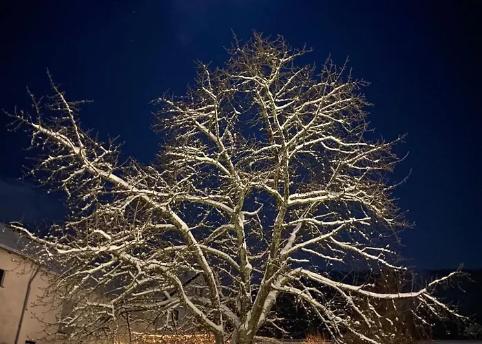 Weingut Harald Ludwig Appartement *